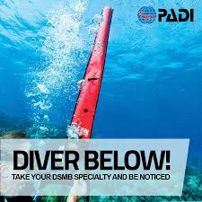 PADI DSMB Diver