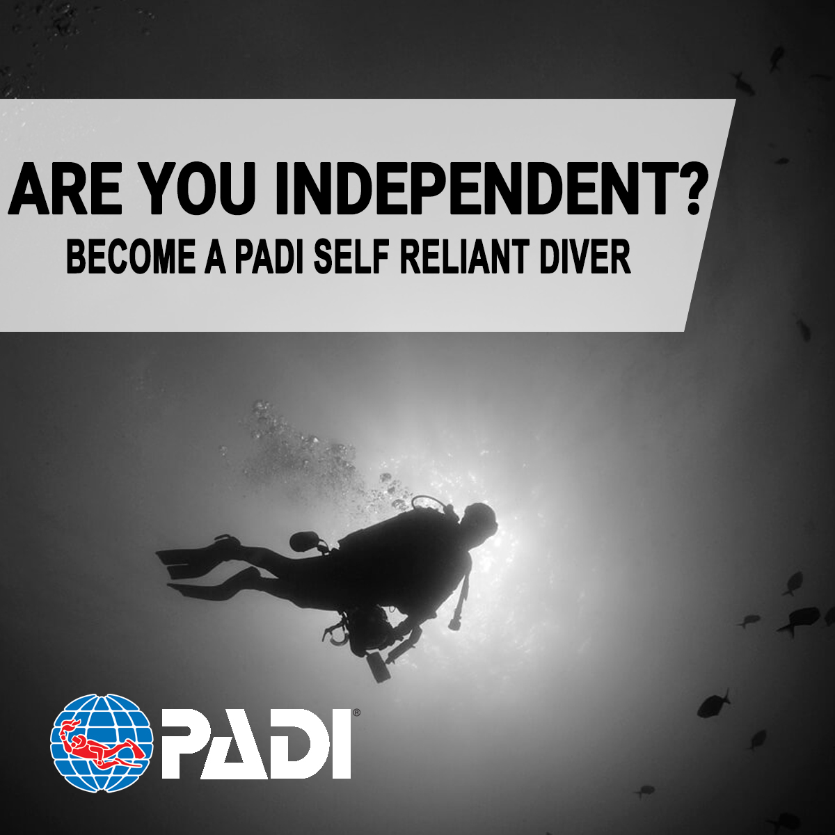 PADI Self-Reliant Diver - Rec2Tec Diving